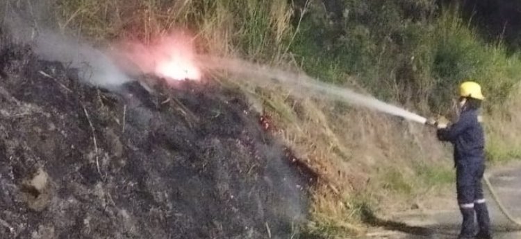 Transeúnte arrojó antorcha que provocó incendio forestal