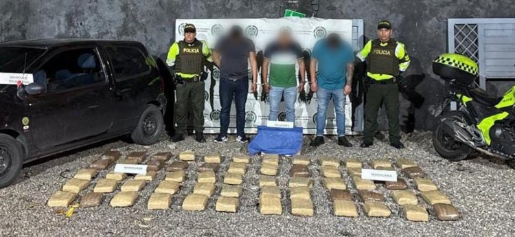 Incautan 60 kilos de marihuana en Flandes que estaban escondidos en cajas de cartón