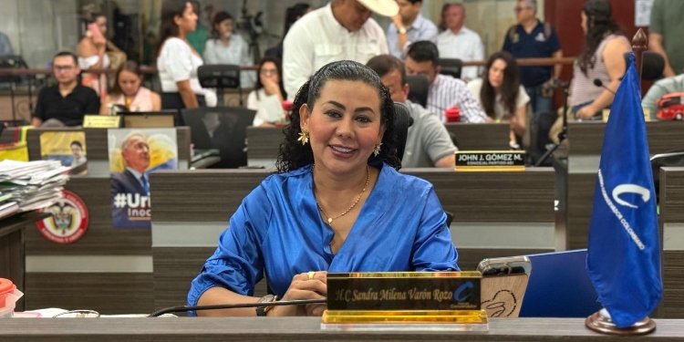 Concejal Sandra Varón asegura que hay institutos que le deben a Infibagué, entre ellos el Ibal