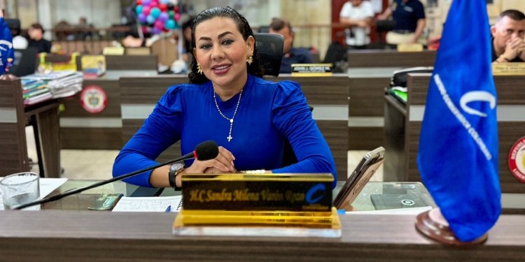 “Estoy muy preocupada por la fase número cinco, donde nos presentaron una respuesta del 2012”, dijo la concejal Sandra Varón