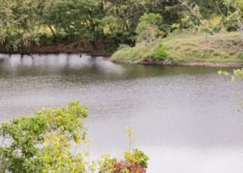 TUA: cuándo pagarla, quién la cobra y para qué sirve