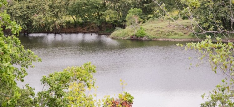 TUA: cuándo pagarla, quién la cobra y para qué sirve