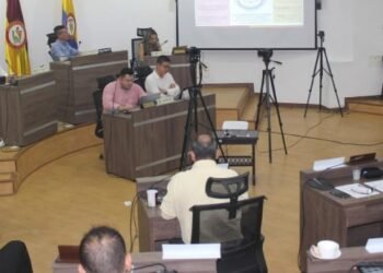 Asamblea Departamental del Tolima sale en defensa del gremio arrocero ante el Gobierno Nacional