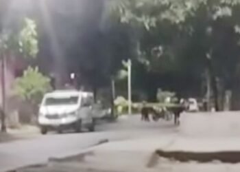 Asesinaron con arma de fuego a un hombre en el barrio Dos de Junio