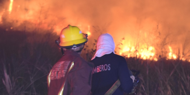 Bomberos controlaron incendio forestal en el barrio Nueva Castilla