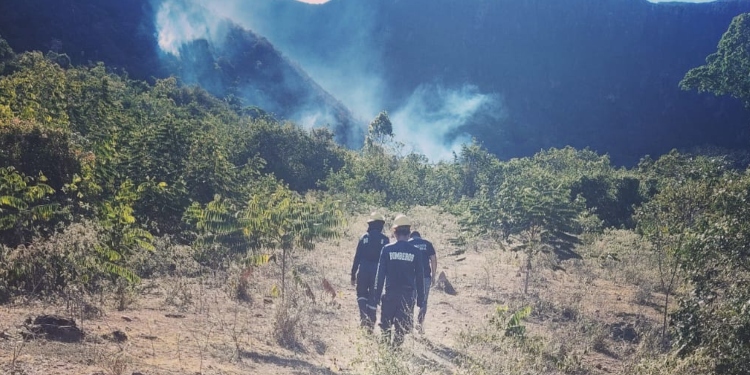 ¡Inclemente ola de calor en el Tolima! Más de 165 hectáreas han sido consumidas por incendios advierte Gobernación