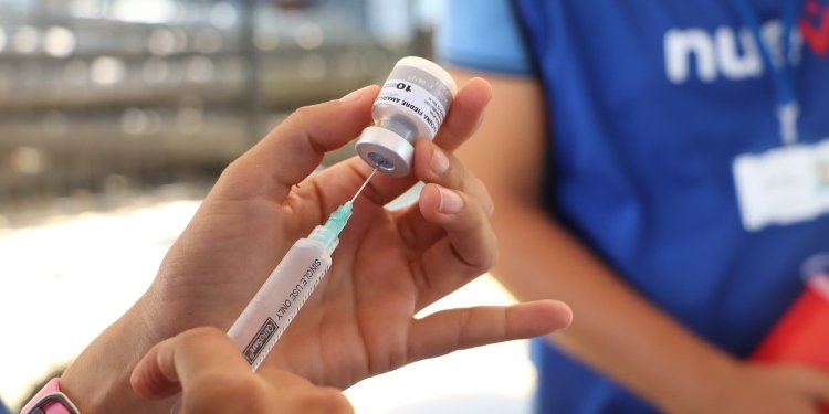 Ibagué continúa sin casos de fiebre amarilla, según la Alcaldía, gracias a sus estrategias de prevención