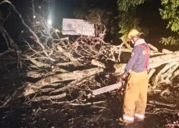 Organismos de socorro atendieron 20 emergencias en Ibagué por tormenta eléctrica