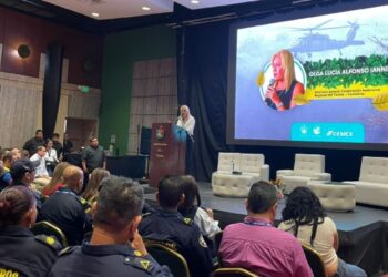 “Más del 90% de incendios en el Tolima son provocados por el accionar humano”: Directora de Cortolima