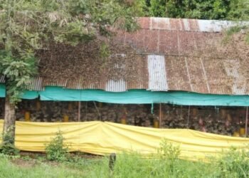 Galpones avícolas estarían produciendo afectaciones a los habitantes del Totumo, que hacen un llamado a las autoridades