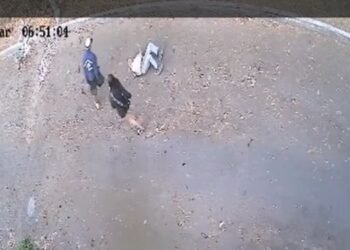 Ladrones agredieron y tiraron al suelo a un abuelito para robarlo