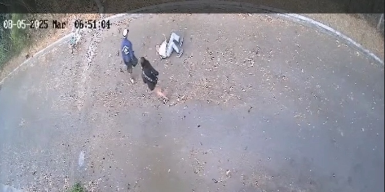 Ladrones agredieron y tiraron al suelo a un abuelito para robarlo