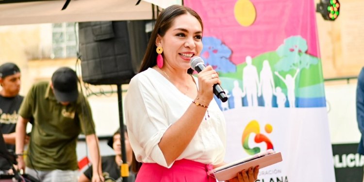 Secretaría de Salud de Ibagué presentó nuevas estrategias en salud mental