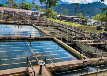 Congreso de Gestión Comunitaria del Agua se realizará en Ibagué