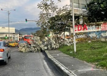 Tormenta eléctrica causó emergencias en Ibagué