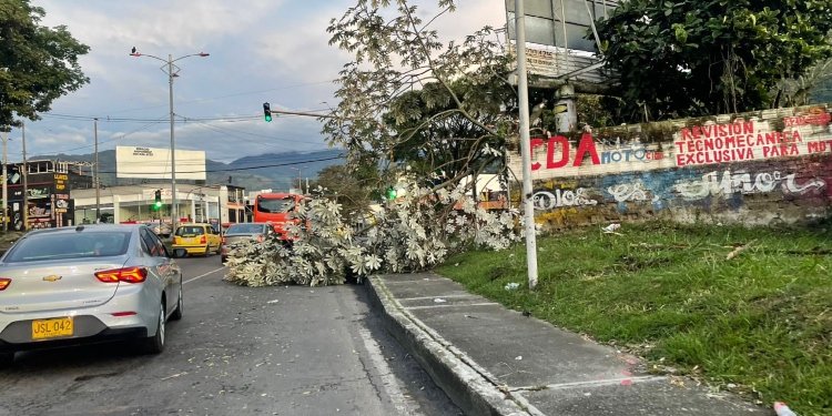 Tormenta eléctrica causó emergencias en Ibagué