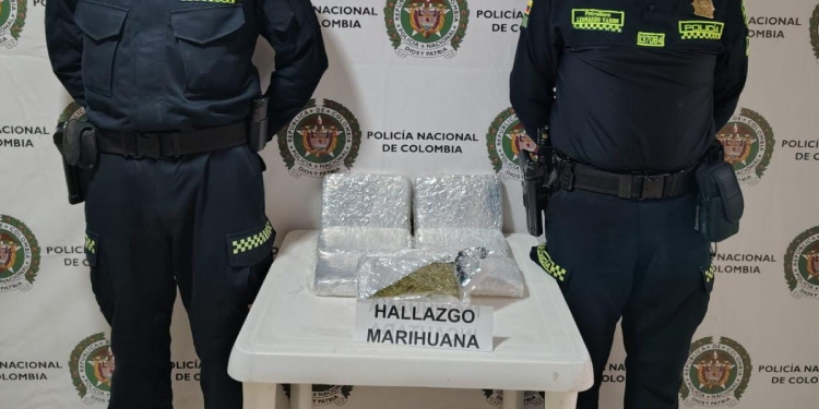 Incautan siete kilos de marihuana en zona rural de Roncesvalles