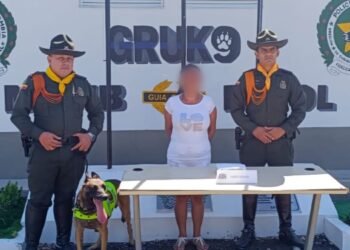 Capturada mujer con estupefacientes, cuando se movilizaba en un bus