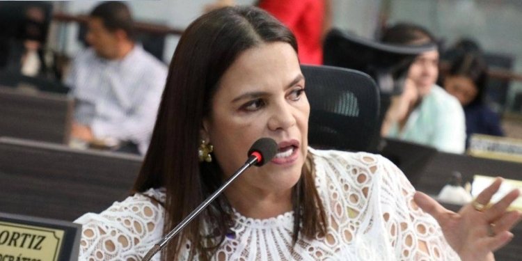 “No se configura violencia basada en género; se trata de una crítica política legítima”