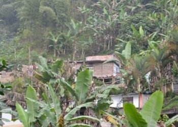 Hallaron cuerpo sin vida en la vereda La Coqueta