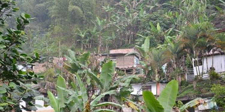 Hallaron cuerpo sin vida en la vereda La Coqueta