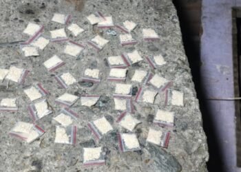 Autoridades capturaron a 11 personas e impusieron cerca de 300 comparendos en Ibagué