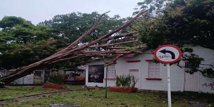 Clases mediadas o virtuales en la UT por afectaciones de la tormenta eléctrica