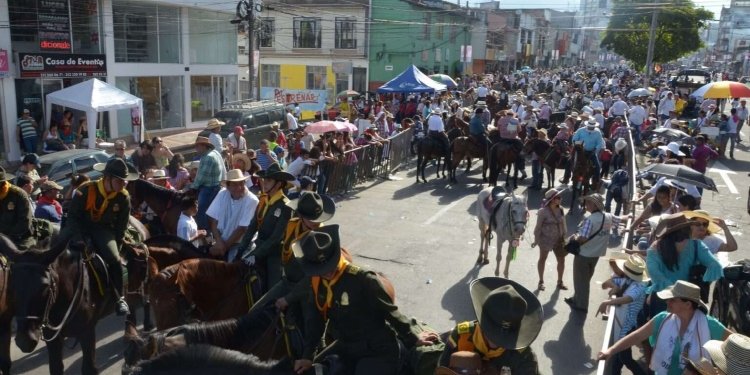 Tras decisión del Tribunal, el municipio tiene un año para reglamentar las cabalgatas en Ibagué