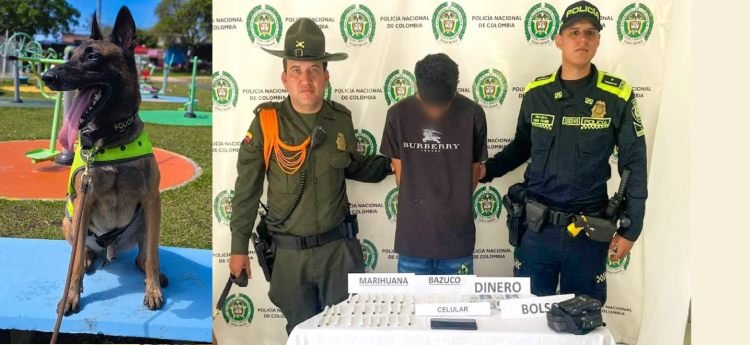 Canino ‘Rex’ detectó estupefacientes a presunto expendedor