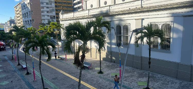 Ubicación de Ibagué hace que sea una ciudad atractiva en costos y producción agrícola