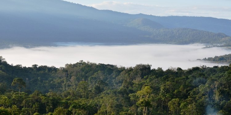Tolima, un tesoro de biodiversidad protegido por Cortolima