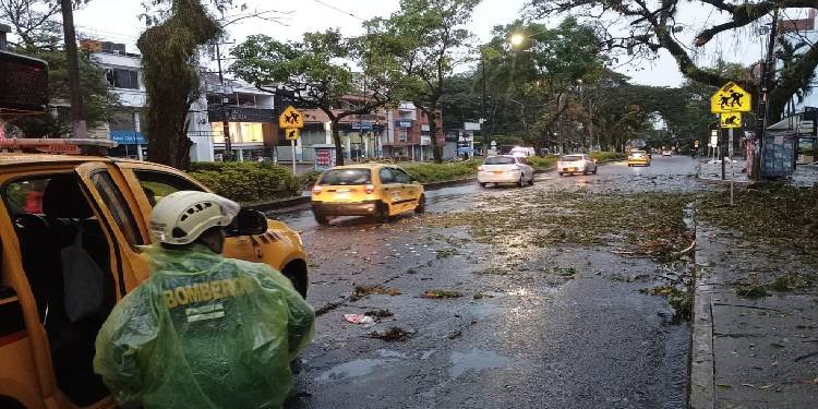 Bomberos de Ibagué atendieron 25 emergencias por lluvias