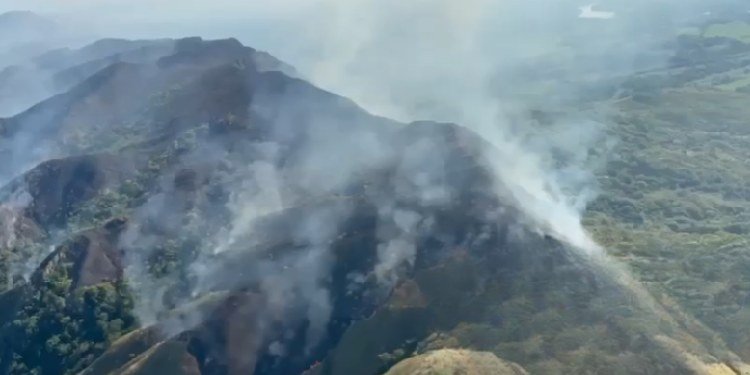 Fuertes lluvias liquidaron incendio forestal en Suárez