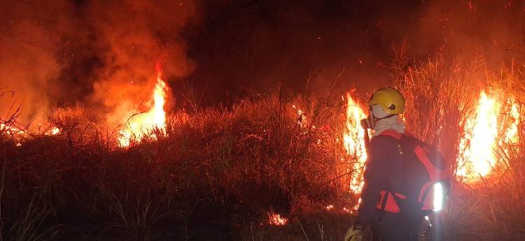 Bomberos de Ibagué extinguieron dos grandes incendios forestales 