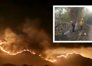 Tolima en Llamas: Alerta Roja en 27 Municipios por Incendios Forestales