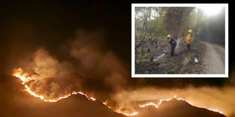 Tolima en Llamas: Alerta Roja en 27 Municipios por Incendios Forestales