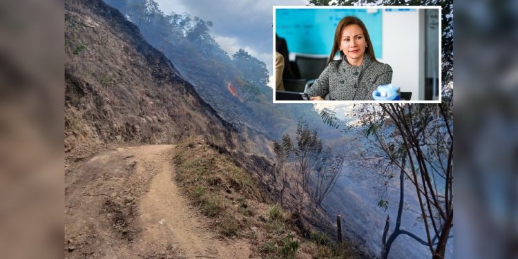 El Tolima ardió este fin de semana: más de nueve incendios se registraron en ocho municipios