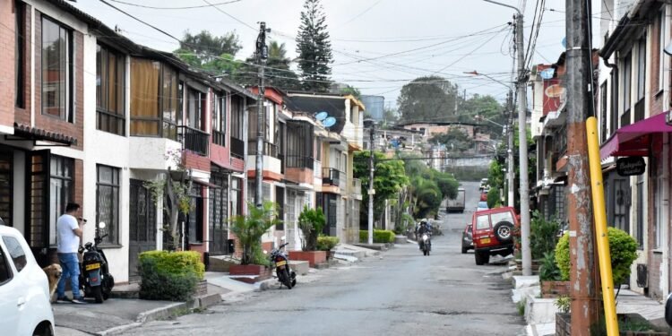 Extraña desaparición de felinos preocupan a comunidad de Ibagué