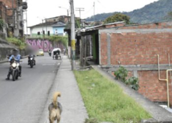 Adulto mayor fue asesinado de una pedrada 