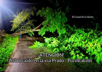 Bloqueada la vía Purificación-Prado ante fuertes lluvias de las últimas horas