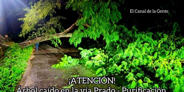 Bloqueada la vía Purificación-Prado ante fuertes lluvias de las últimas horas