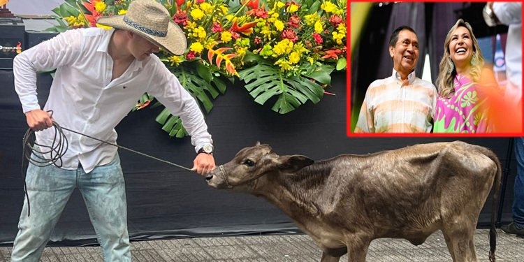 Secretaría de Agricultura entregó terneras a campesino víctima de abigeato