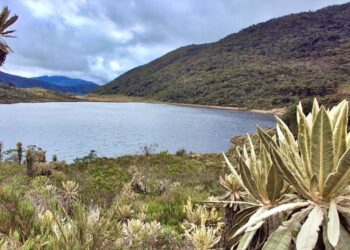 Tolima fortalece red de áreas protegidas con la aprobación del Plan de Manejo del Parque Natural Regional Loros Andinos