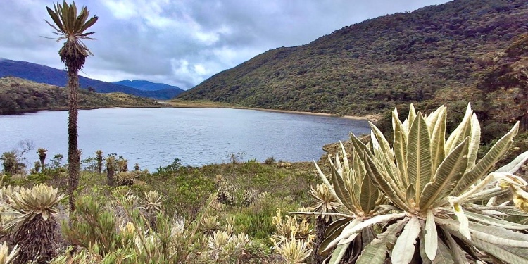 Tolima fortalece red de áreas protegidas con la aprobación del Plan de Manejo del Parque Natural Regional Loros Andinos