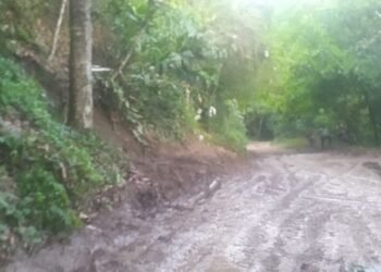 Fuertes afectaciones por lluvias en Chaparral son atendidas por organismos de emergencia
