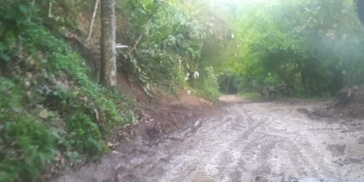Fuertes afectaciones por lluvias en Chaparral son atendidas por organismos de emergencia
