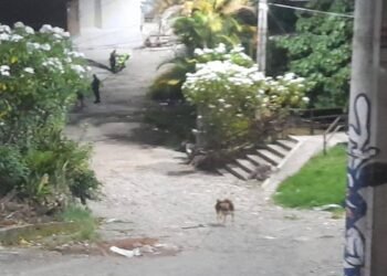 Hirieron a bala a un hombre en el barrio Independiente