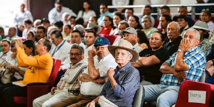Alcaldía entregará incentivos a pequeños productores para proyectos agrícolas y pecuarios