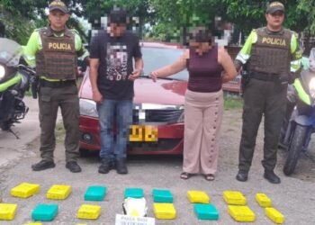 Dos personas detenidas y 46 kilos de droga incautada por la Policía en la vía Castilla