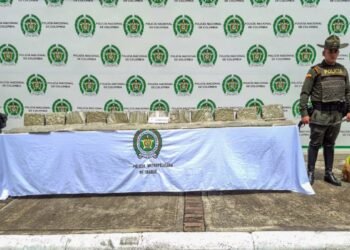 ‘Rex’ olfateó encomienda con 19 kilos de marihuana